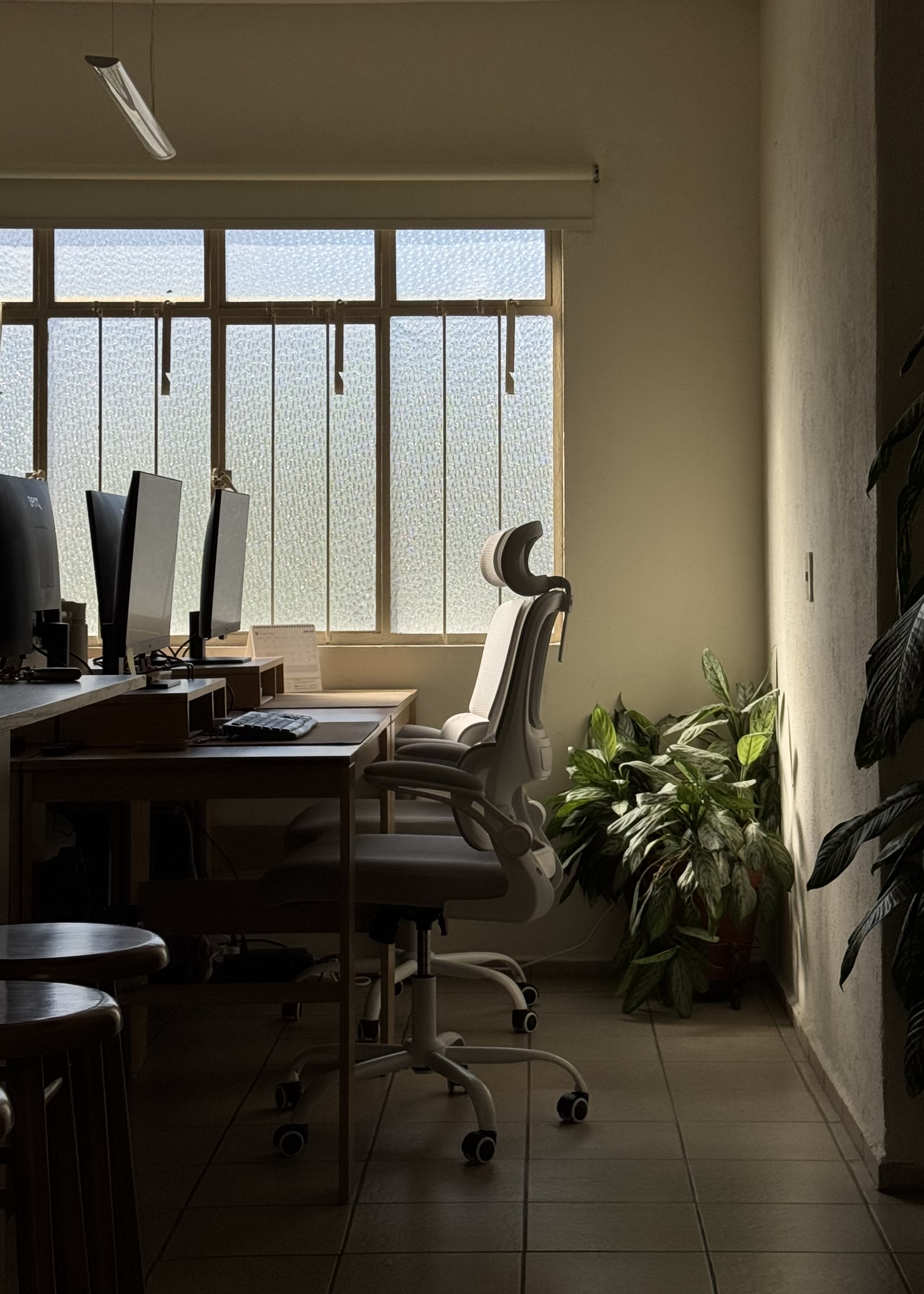 Estudio Octova