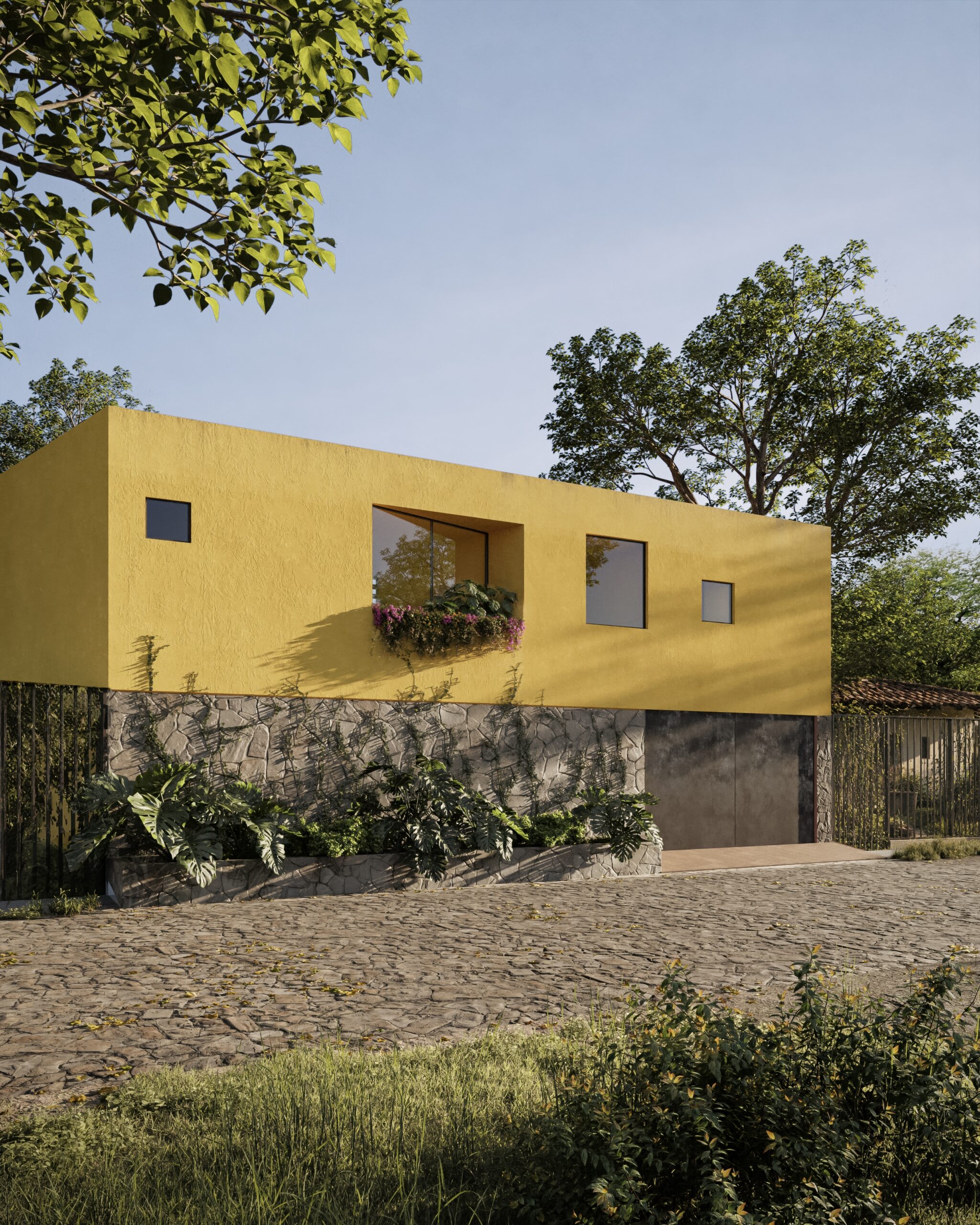La Bonita